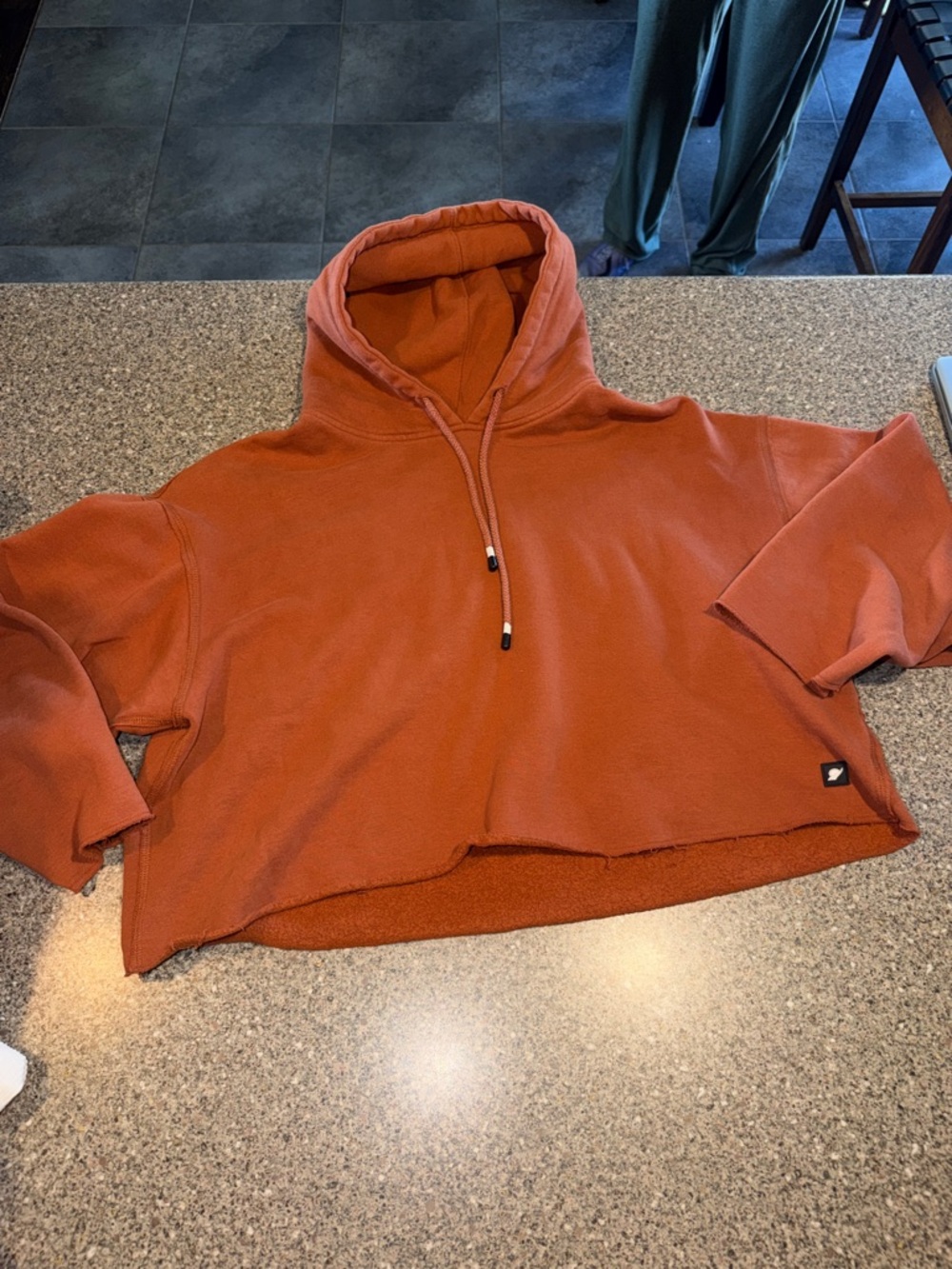 Fundamental Coast Cropped Hooded Sweatshirt